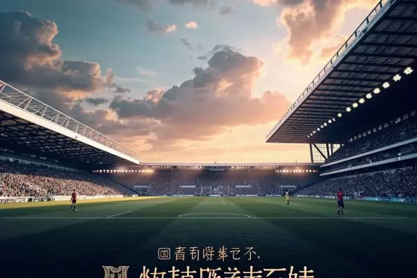 深入解读米尔沃尔：硬核足球、社区灵魂与英冠征程