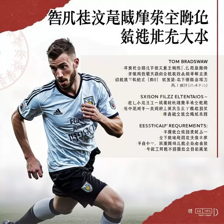 米尔沃尔足球俱乐部：英冠赛场上的雄狮精神与未来展望