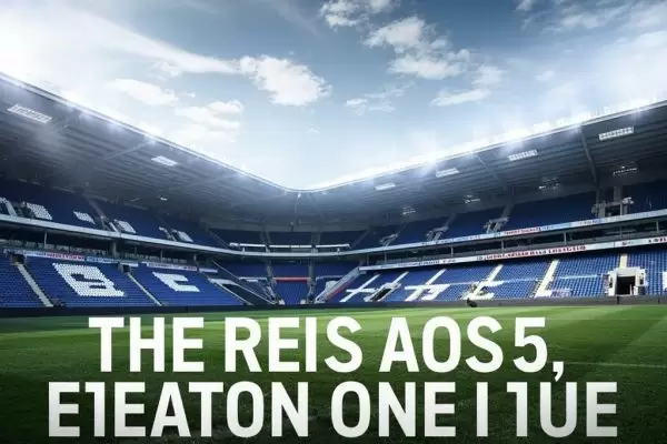 米尔沃尔足球俱乐部：英冠赛场的雄狮传奇与未来展望