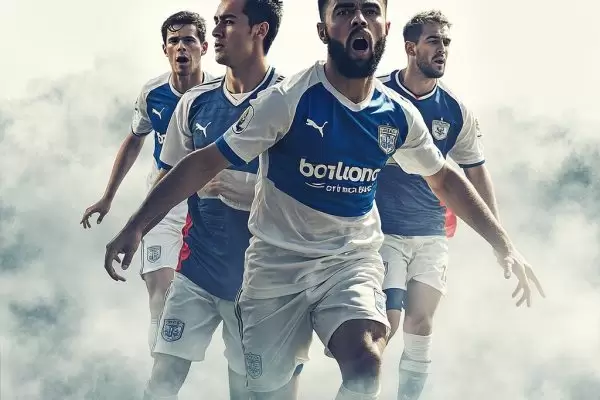 米尔沃尔足球俱乐部：英冠赛场的雄狮如何捍卫主场荣耀