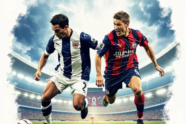 米尔沃尔足球俱乐部：英冠赛场的雄狮崛起之路