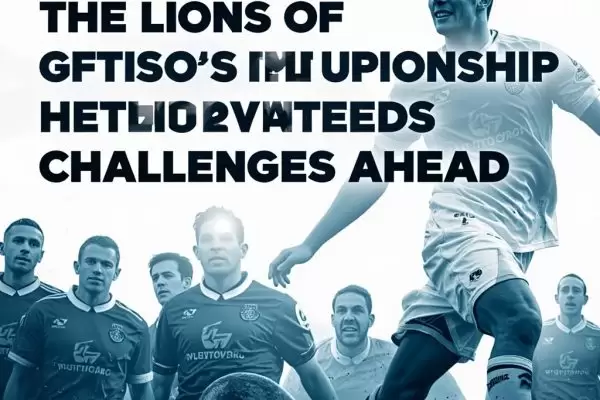 米尔沃尔足球俱乐部：英冠赛场的雄狮，坚守与未来的挑战