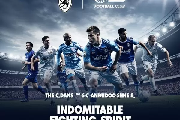 米尔沃尔足球俱乐部：英冠赛场的雄狮，永不磨灭的斗魂