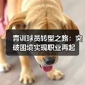 米尔沃尔粉丝站 --图10
